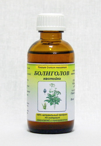 болиголов при простатите